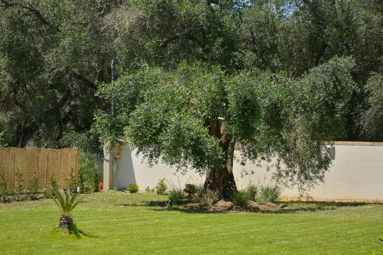 הוילה Halikounas La Casa Del Sole מראה חיצוני תמונה
